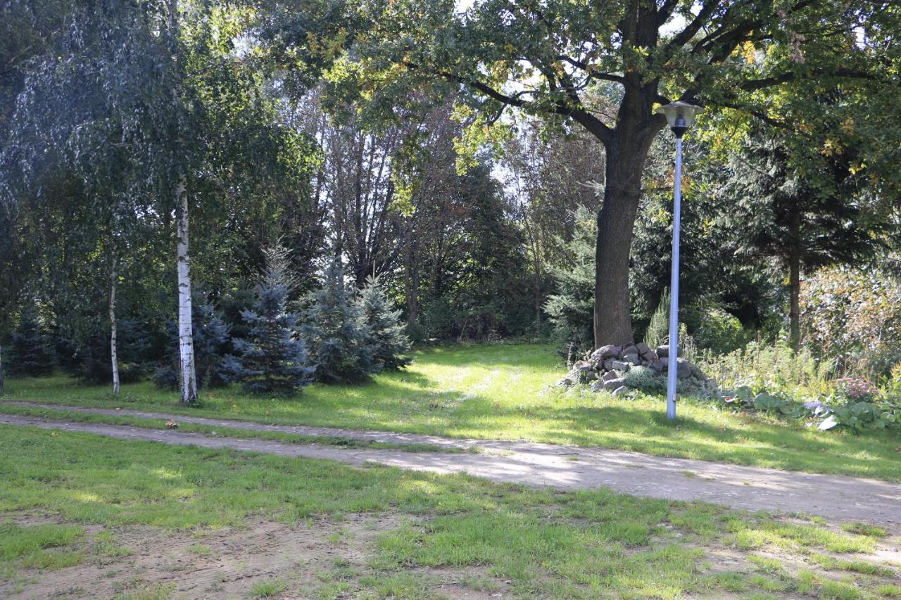 Agroturystyka Zulawiaczek Nowy Dwór Gdański Exterior foto