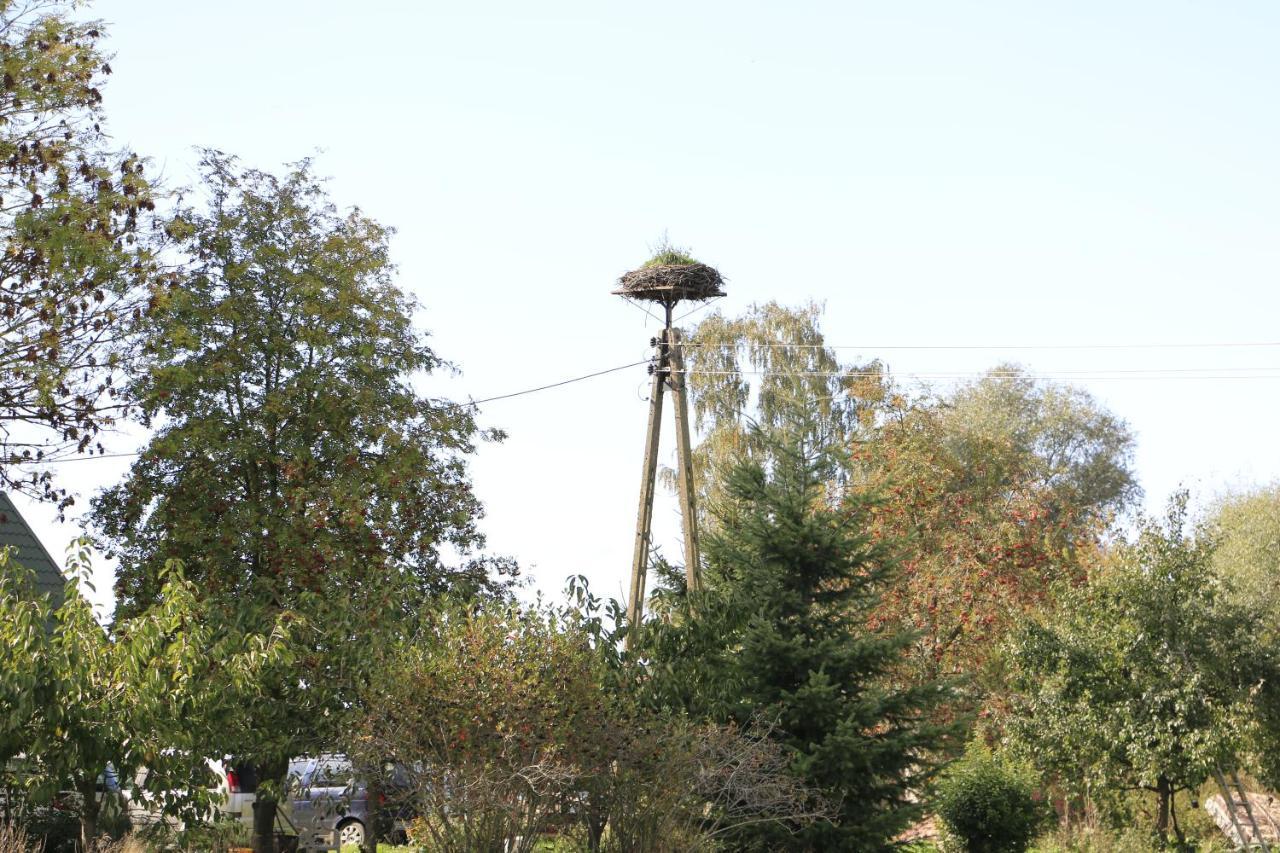 Agroturystyka Zulawiaczek Nowy Dwór Gdański Exterior foto