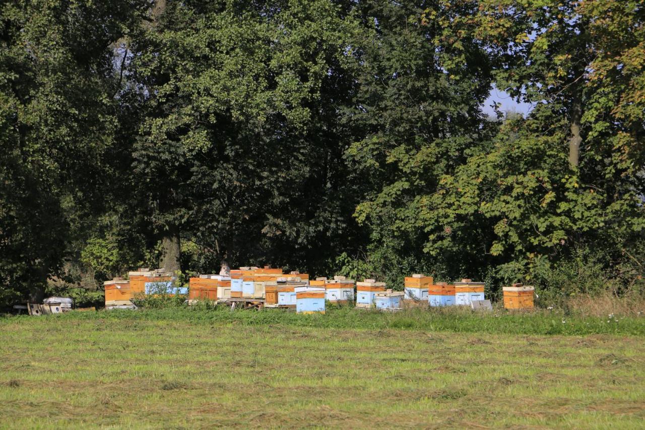 Agroturystyka Zulawiaczek Nowy Dwór Gdański Exterior foto